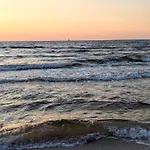 Sea Pearl *