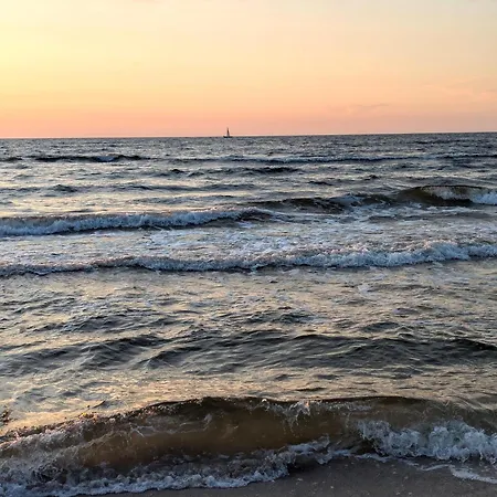 Sea Pearl *