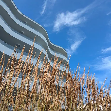 Sea Pearl *