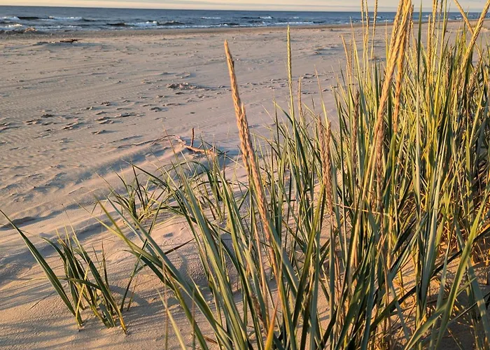 Sea Pearl Apartman *