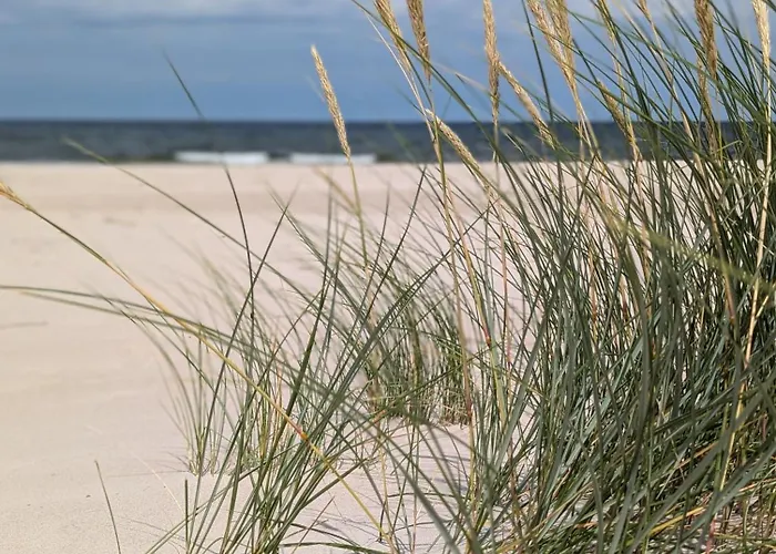 Apartman Sea Pearl Rogowo